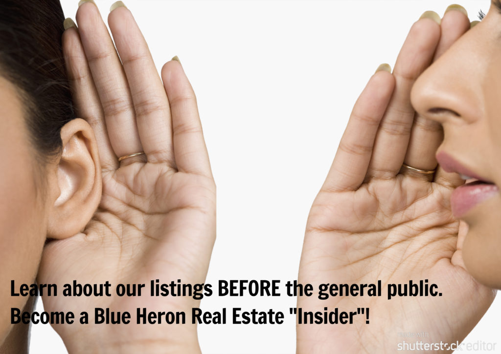 Become a Blue Heron Real Estate "Insider"