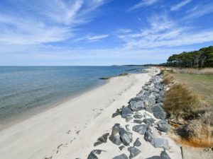 Beach View