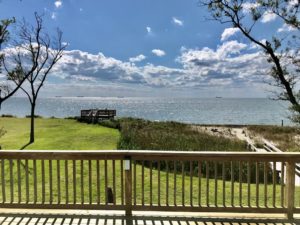 Deck View